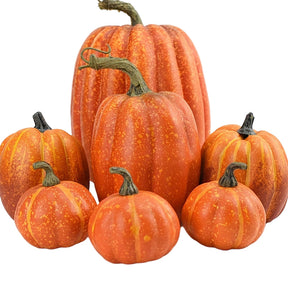 Seven decorative orange pumpkins in different sizes
