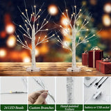 24LT 60.96cm Lighted Birch Tree - Warm White Christmas Lights-2