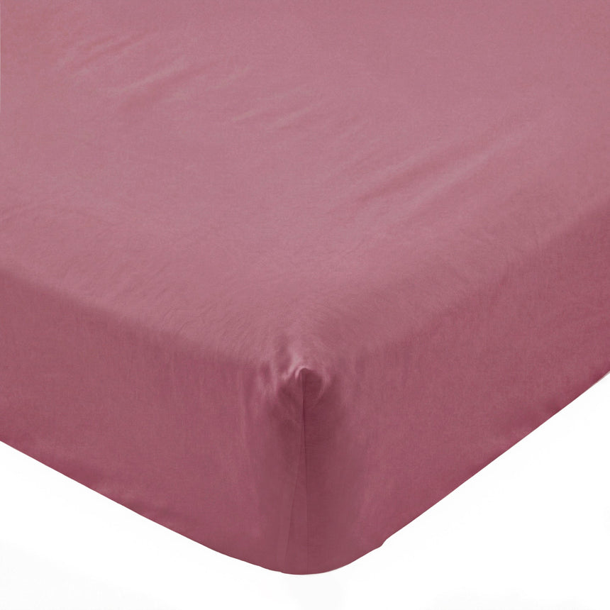 Magenta Basic cotton fitted sheet