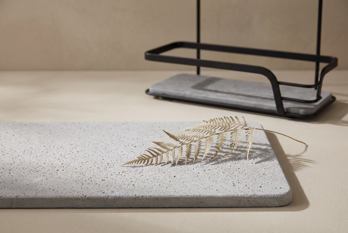 Pale grey porous diatomite bath mat with a fern frond, shower organiser blurred behind