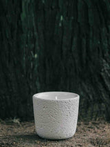 Soy wax candle with wood wick, Fir Forest scent