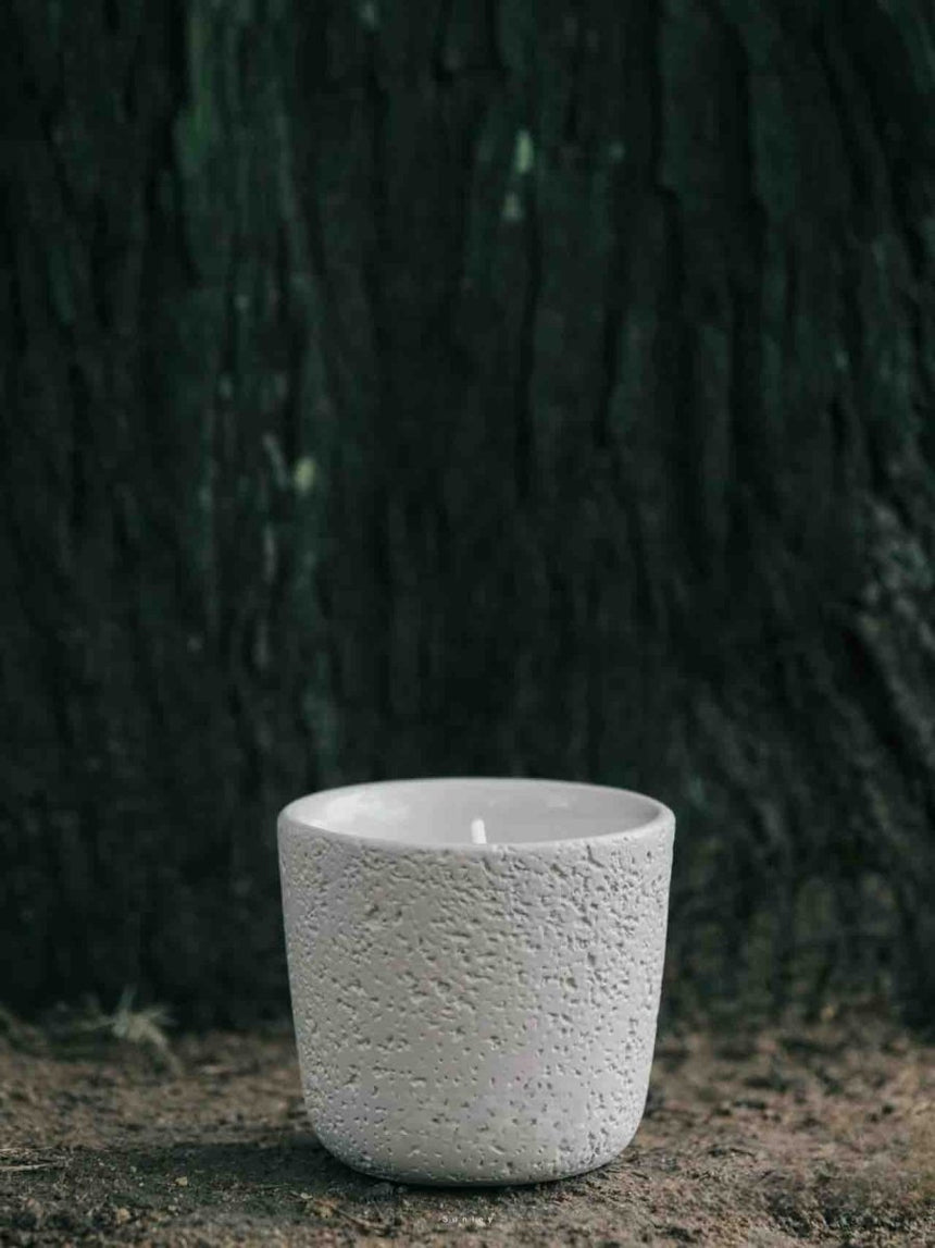 Soy wax candle with wood wick, Fir Forest scent
