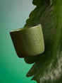 Soy wax candle with wood wick, Iceland Tundra scent